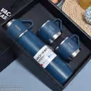 Steel Vacuum Flask Set with 2 Cups Flask Combo Keeps Liquid Tea Coffee Cold Hot Bottle 500ml